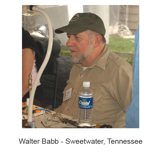 Walter Babb